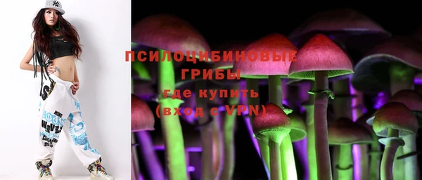 кокс Баксан