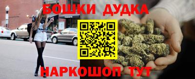 МДПВ Бийск