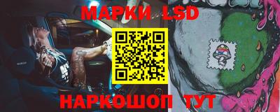 МДПВ Бийск