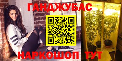 МДПВ Бийск