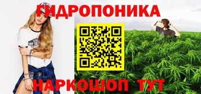 МДПВ Бийск