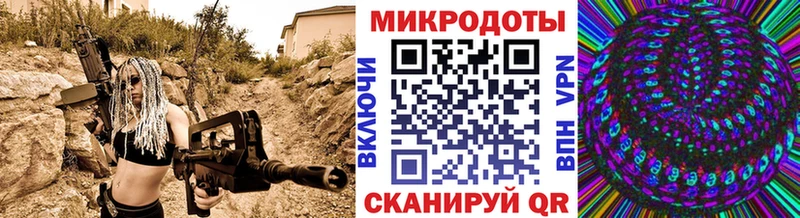 хочу наркоту  Ессентуки  Галлюциногенные грибы Psilocybine cubensis 